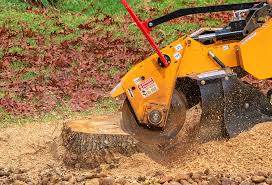 Best Lawn Mowing  in Dalworthington Gardens, TX